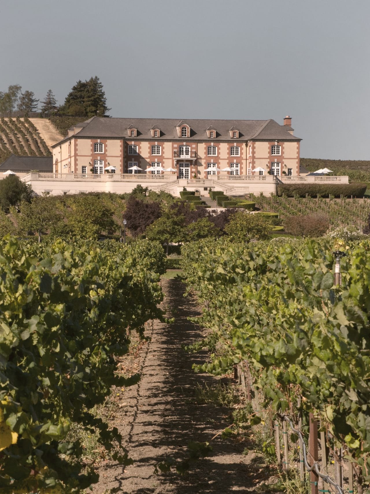 Vue d’un domaine repris : bâtiments, cour et vignes, lumière de fin de journée.