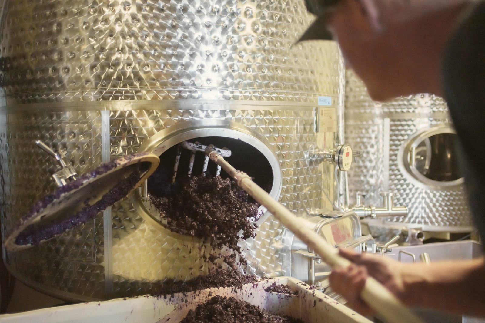 Travail au chai ou dans les rangs : gestes techniques, équipe en action.