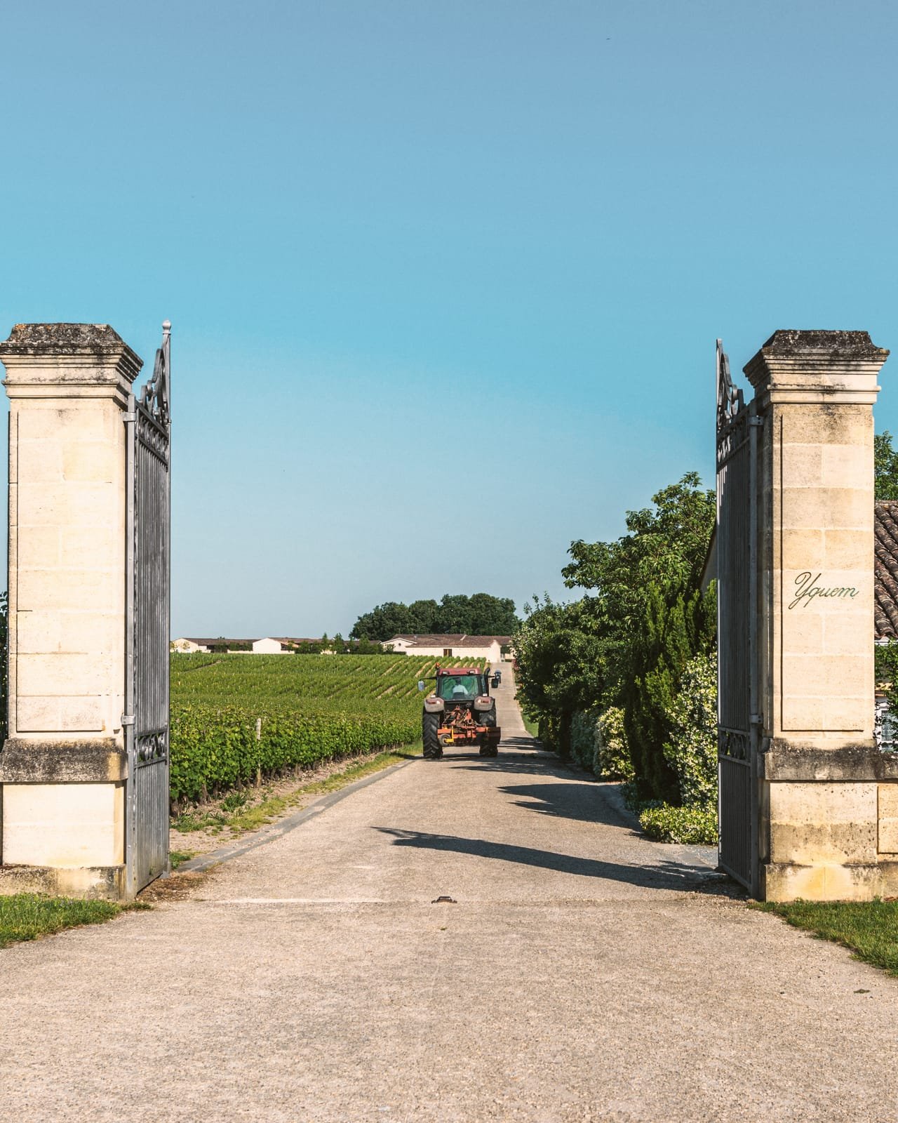 Domaine vu depuis la cour : bâtiments de caractère, vignes en arrière-plan, lumière de fin de journée. Évoquer l’arrivée d’un nouveau propriétaire, sans personne identifiable.