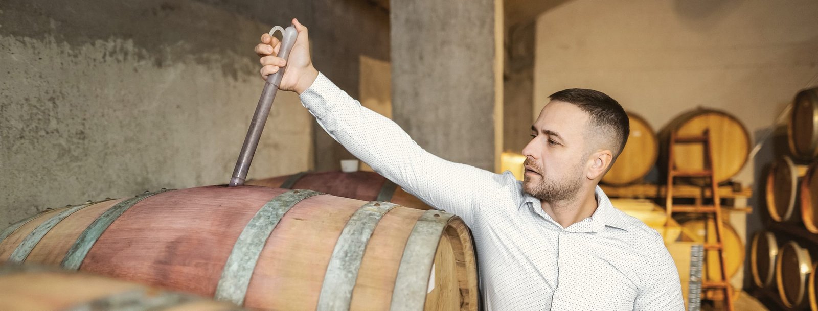 Professionnel en poste, concentré sur son métier : chef de cave au chai, responsable export en rendez-vous ou commercial chez un caviste. Les meilleurs profils sont déjà en poste.